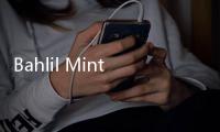 Bahlil Minta Jaga Lifting dan Stabilitas Produksi Gas di LNG Tangguh