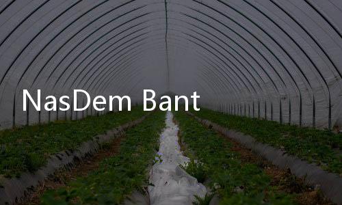 NasDem Bantah Adanya Dugaan SYL Akan Melarikan Diri dan Menghilangkan Barang Bukti